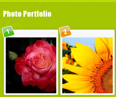 Create Online Photo Portfolio in Photoshop CS3