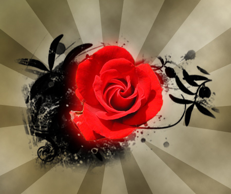 Create Rose for Saint Valentine's Day in Photoshop CS3