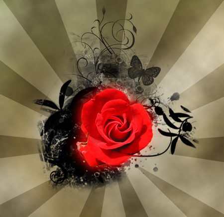 Create Rose for Saint Valentine's Day in Photoshop CS3