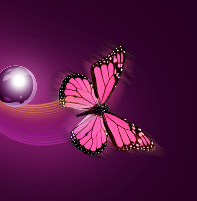 Create Magic Flying of the Butterfly Wallpaper in Photoshop CS3