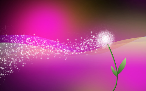 Create amazing and colorful desktop wallpaper with dandelion in Photoshop CS4