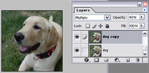Multiply Mode in Photoshop 4