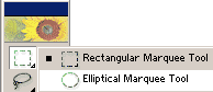 elliptical marquee