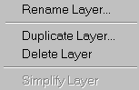 layer context menu