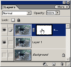 layers palette with mask
