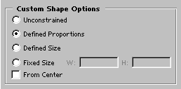 custom shape geometry options