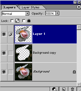 three layers