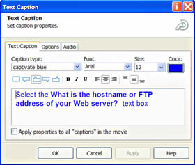 Edit captions in the Text Caption dialog box