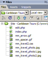 File structure for the travel agency site