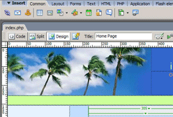 Dreamweaver view of the selected template