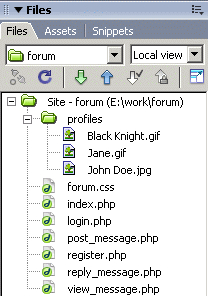 Files panel showing the beginning files for the forum application