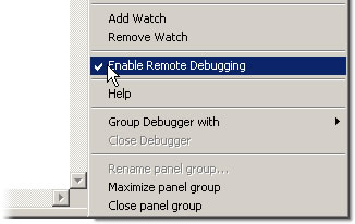 Enabling remote debugging in the Options menu of the Debugger panel