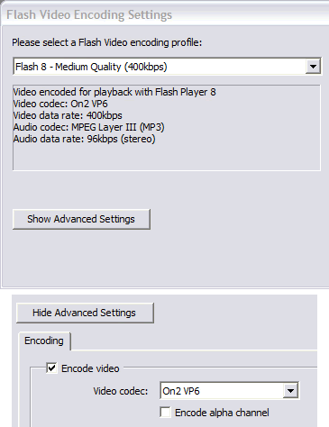 FLV Export panel (top) showing the Encode Alpha Channel option (bottom)