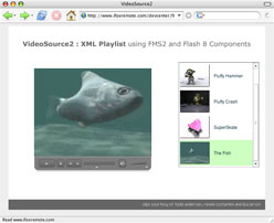 Video player interface