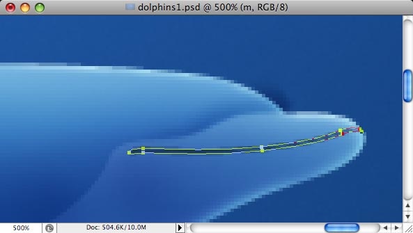 Dolphins - making of - Step 11