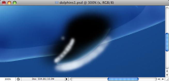 Dolphins - making of - Step 17