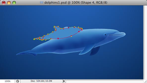 Dolphins - making of - Step 22