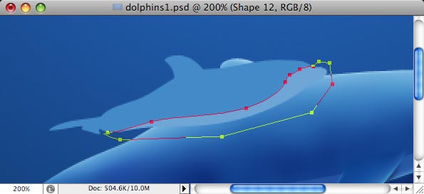 Dolphins - making of - Step 23