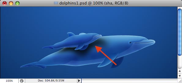 Dolphins - making of - Step 29