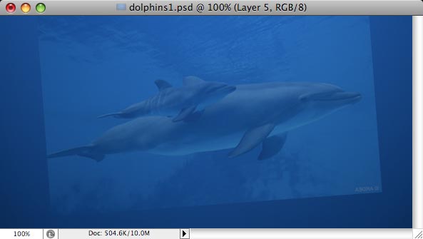 Dolphins - making of - Step 3