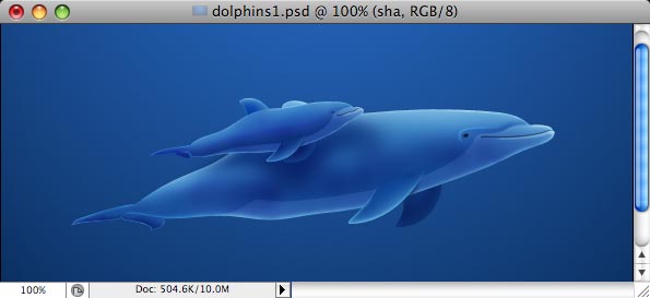 Dolphins - making of - Step 30