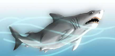 drawing game shark attack picture in adobe photoshop cs