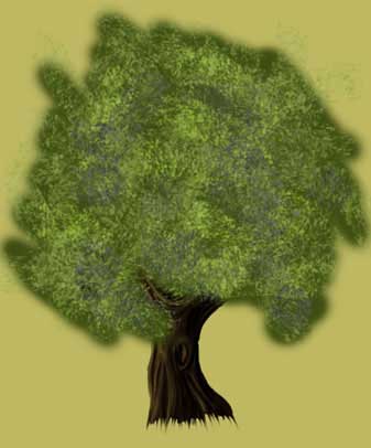 a tree with rich leafage in adobe Photoshop cs