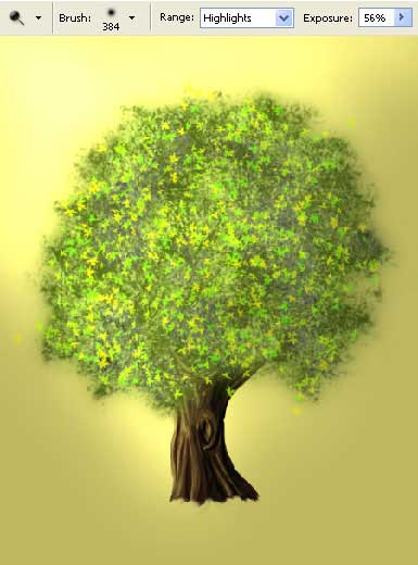 a tree with rich leafage in adobe Photoshop cs