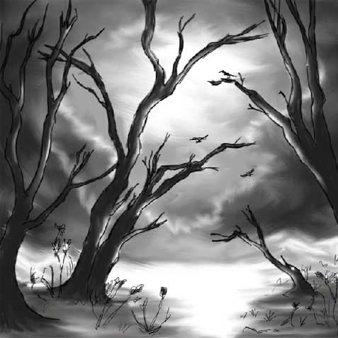 picture a landscape's etude in black and white colors in adobe Photoshop cs