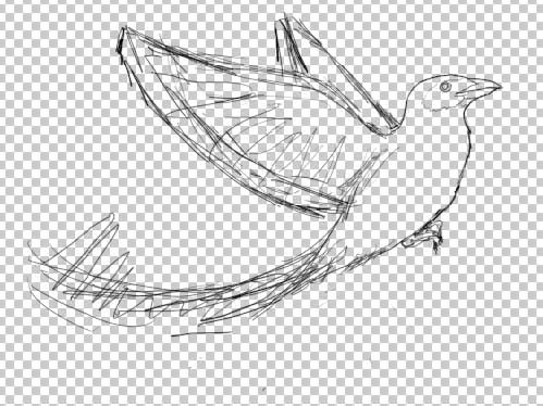 drawing phoenix bird in adobe Photoshop cs2