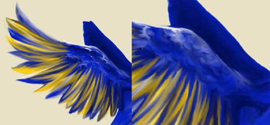 drawing phoenix bird in adobe Photoshop cs2