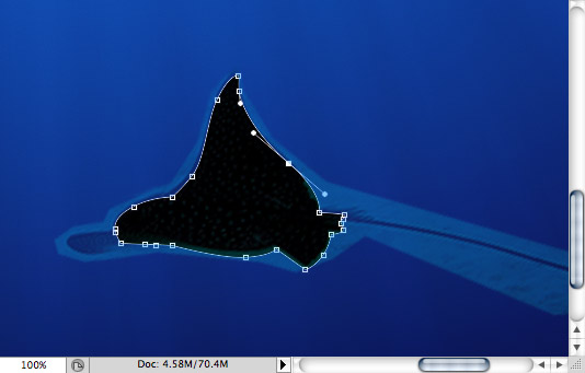 Spotted Eagle Ray - making of - Step 21