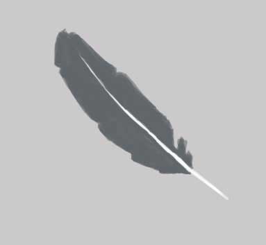 Drawing Feather Bed in adobe photoshop cs
