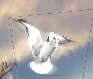 In the sky photo
effects in adobe Photoshop cs