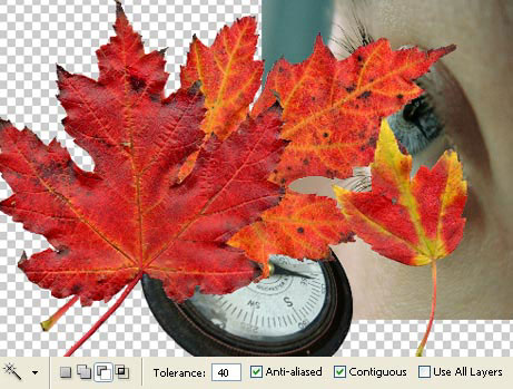 Autumn
Wallpaper - Photo Effects