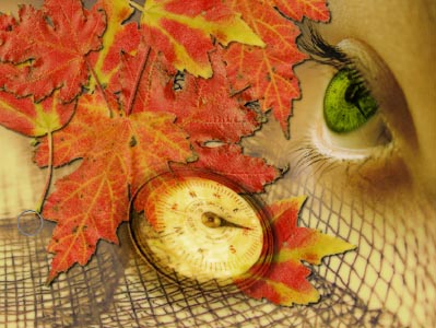 Autumn

Wallpaper - Photo Effects