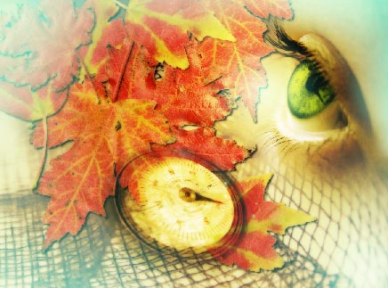 Autumn

Wallpaper - Photo Effects